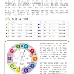 【解説書】ニルス論 -すべての関係性-　（ニスルハームの解説） 2枚目の画像