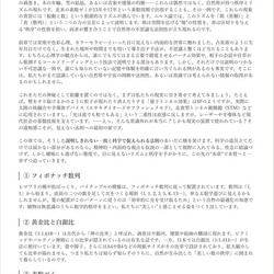 【解説書】ニルス論 -すべての関係性-　（ニスルハームの解説） 5枚目の画像