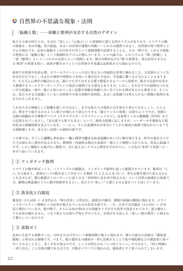 【解説書】ニルス論 -すべての関係性-　（ニスルハームの解説） 5枚目の画像