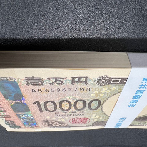 100万円札束 防犯用ダミー紙幣4枚付 金融機関共通帯封 2束 新品