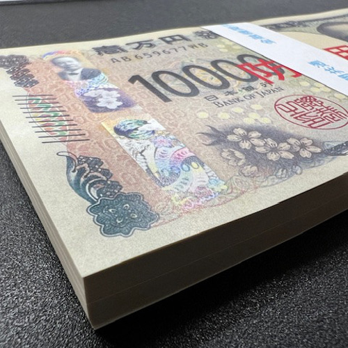100万円札束 防犯用ダミー紙幣4枚付 金融機関共通帯封 2束 新品