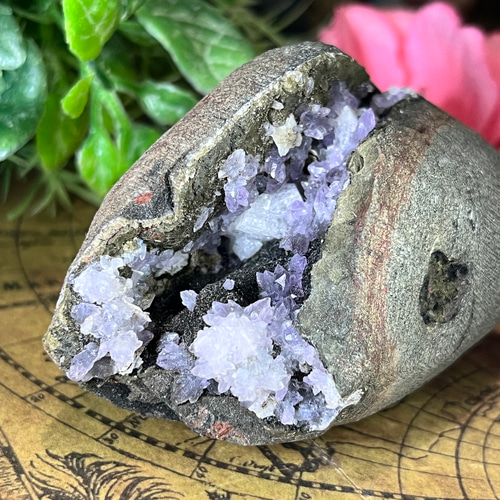 カルサイト 8：インド 【公式通販】