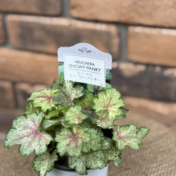 cd4eacbaaa25aed1cb2b8806548f86