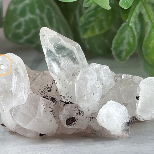 パイライト♡水晶クラスター♡1.5kg超え 水晶共生・特大】パイライト クラスター｜黄鉄鉱｜原石｜激レア｜直