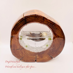 一つ限りの流木アート 海に浮かぶラッコ ジオラマ 流木 フィギュア 置物 インテリア レジン テラリウム 生き物 N33 3枚目の画像