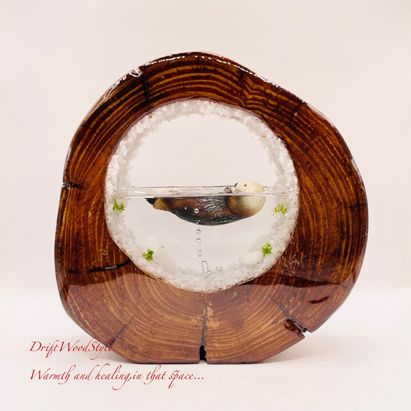 一つ限りの流木アート 海に浮かぶラッコ ジオラマ 流木 フィギュア 置物 インテリア レジン テラリウム 生き物 N33 1枚目の画像