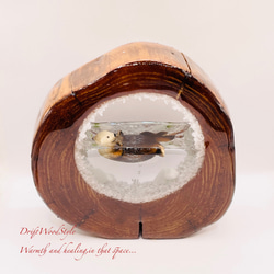 一つ限りの流木アート 海に浮かぶラッコ ジオラマ 流木 フィギュア 置物 インテリア レジン テラリウム 生き物 N33 7枚目の画像