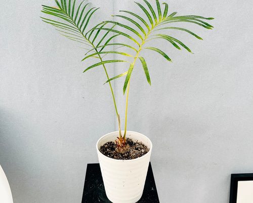 2741f02d5eb0b06c8afae73c949a13