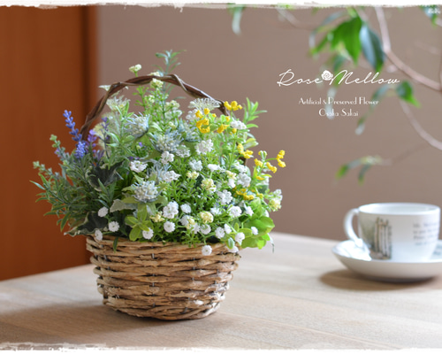 アート【Creema限定】ローズマリーやラベンダーのグリーン