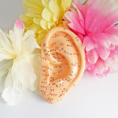 通信講座】3資格／耳つぼジュエリーデザイナー&耳つぼダイエット