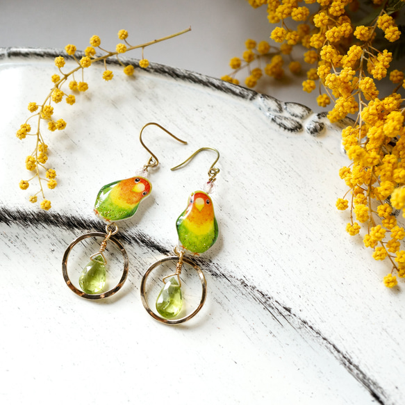 首かしげコザクラインコ フープ in ペリドット チタンピアス 愛と希望