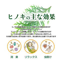  第9張的照片