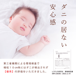  第12張的照片