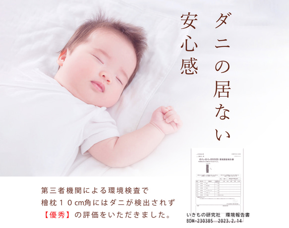  第12張的照片
