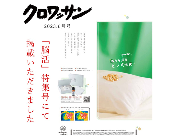  第4張的照片