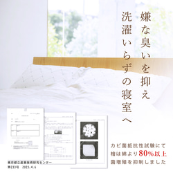  第13張的照片