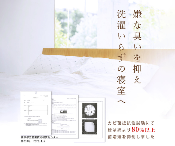  第13張的照片