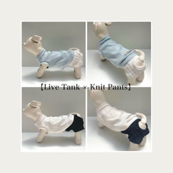 ♡無料オーダーメイド♡【Knit Pants】犬服/ペット服/マナーパンツ 9枚目の画像