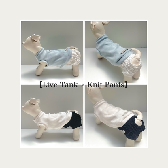 ♡無料オーダーメイド♡【Knit Pants】犬服/ペット服/マナーパンツ 9枚目の画像