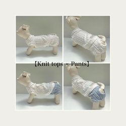 ♡無料オーダーメイド♡【Knit Pants】犬服/ペット服/マナーパンツ 8枚目の画像