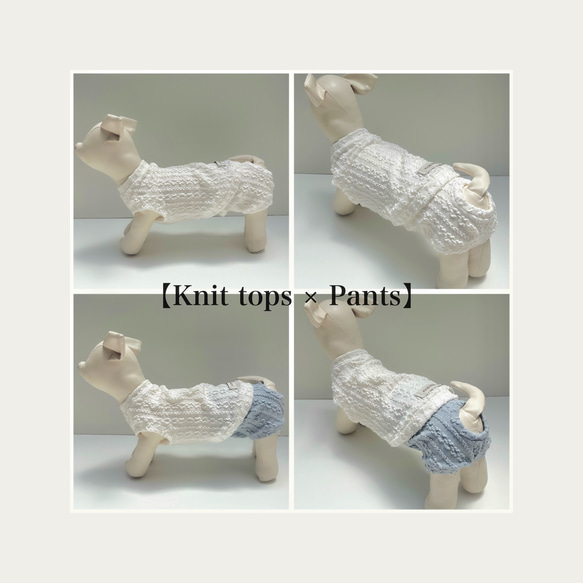 ♡無料オーダーメイド♡【Knit Pants】犬服/ペット服/マナーパンツ 8枚目の画像
