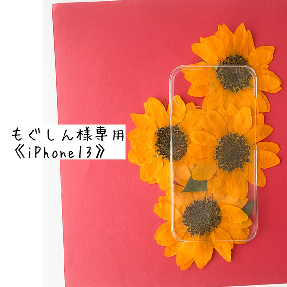 シン様専用ページ シン様 専用 MUTO】シン様☆専用ページ MUTO】シン様