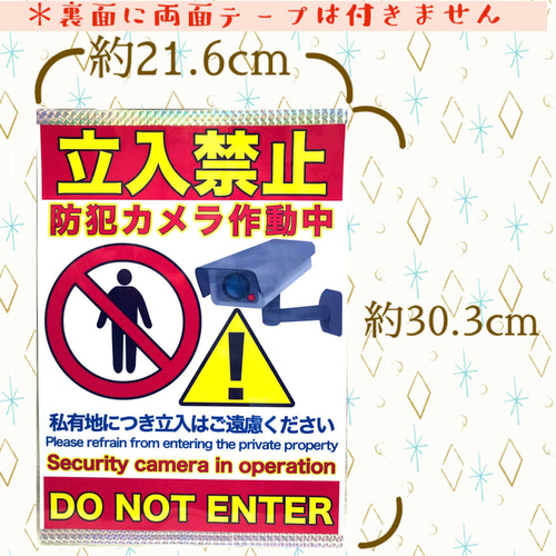 私有地につき立ち入り禁止 防犯カメラ作動中 ラミネート加工 張り紙 A4