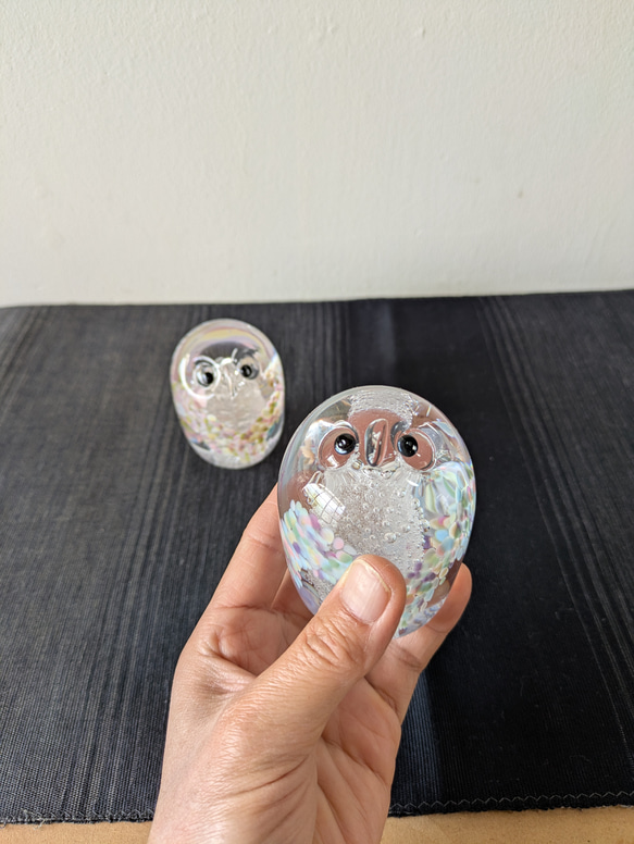 だるまふくろう 5枚目の画像