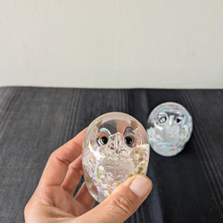 だるまふくろう 4枚目の画像