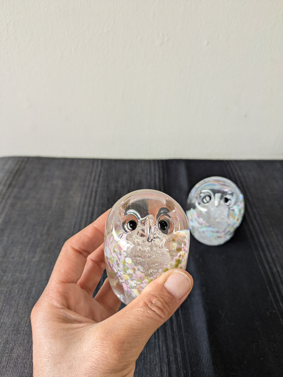 だるまふくろう 4枚目の画像