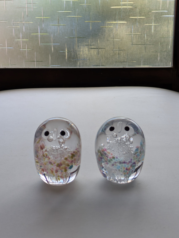 だるまふくろう 1枚目の画像