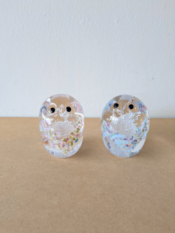 だるまふくろう 2枚目の画像