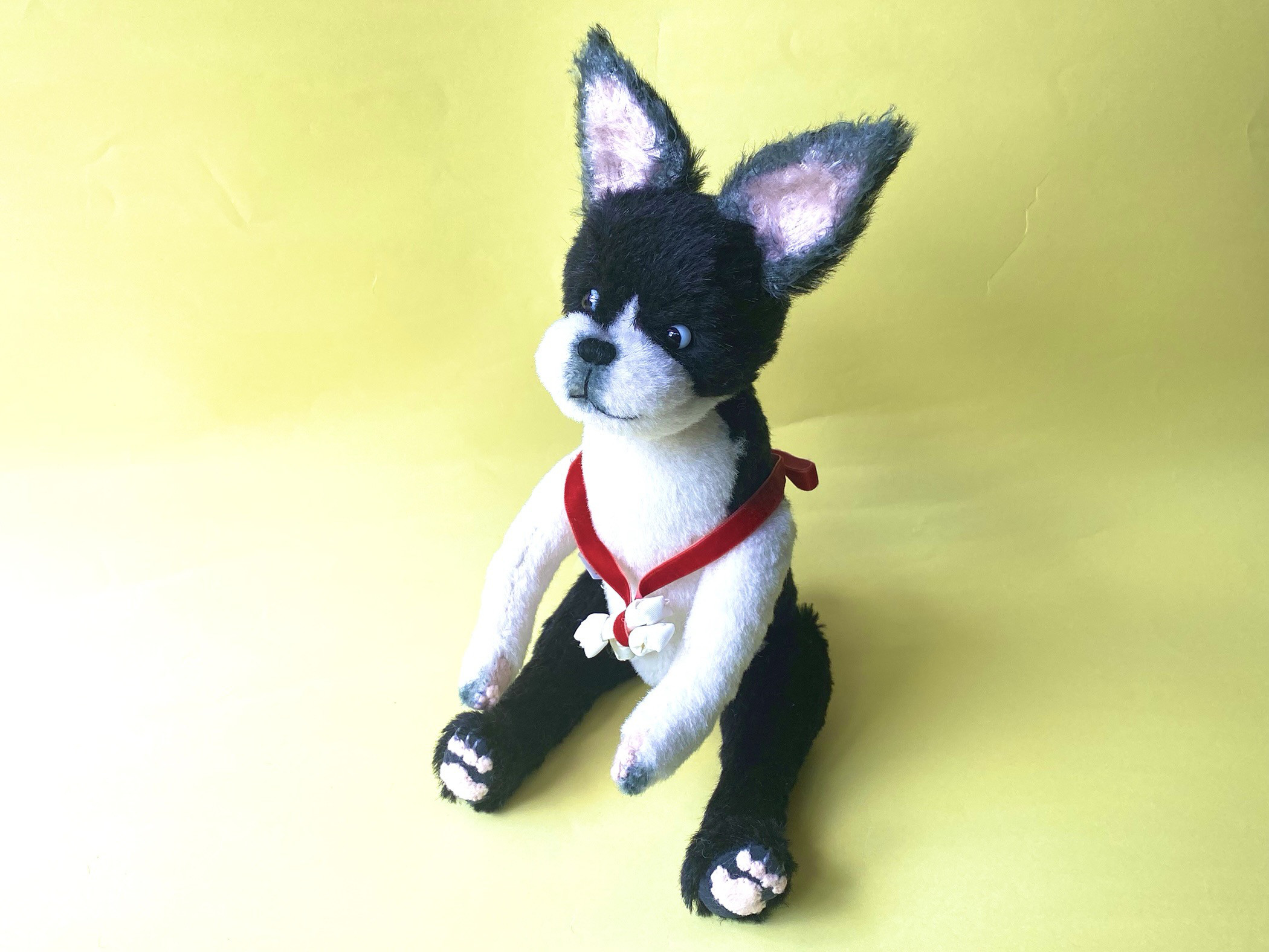 ボストンテリアのトム(35cm)