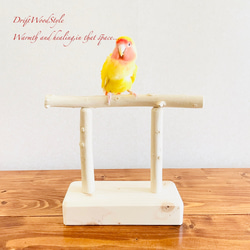 雀 古美術 伝統工藝 木工彫刻 宿木 鳥 止まり木 ガラス眼 雀 古