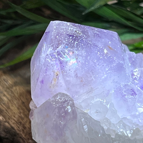 トライゴーニック✨カクタスアメジスト　サボテン水晶　ラフストーン　原石 トライゴーニック 虹入り カクタスアメジスト サボテン水晶 ラフ