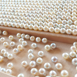 2way あこや真珠 ブローチ 兼 帯留め 高級感 コート にも 和服にも