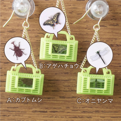 夏の思い出ピアス〜虫カゴ〜 3枚目の画像