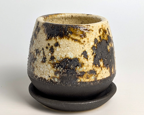 f4c565054d676d07dd01488342f69b