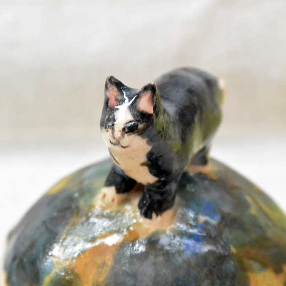 ネコの小物入れ　ハチワレ猫　緑とベージュ色　陶器・陶芸　猫　フタ付き小物入れ　四つ足・お散歩 3枚目の画像