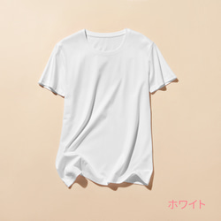 ★7月中旬発送★至高の夏素材！「冷感」「ドライタッチ」効果Tシャツ　ピマコットン100％　カットソー 250512 2枚目の画像