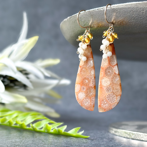 ポメころび 様専用14kgfフォッシルコーラルピアス/イヤリング