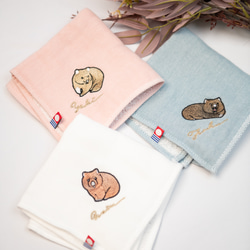 c603a807adf0b3f56a88c63fb84a63