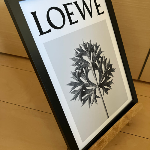 LOEWE type☆オマージュアートインテリアポスター＃915☆ロエベ・植物