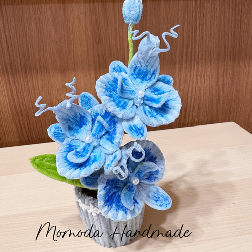 モールフラワー 胡蝶蘭の鉢植え 枯れない花 盆栽 Momoda Handmade 通販