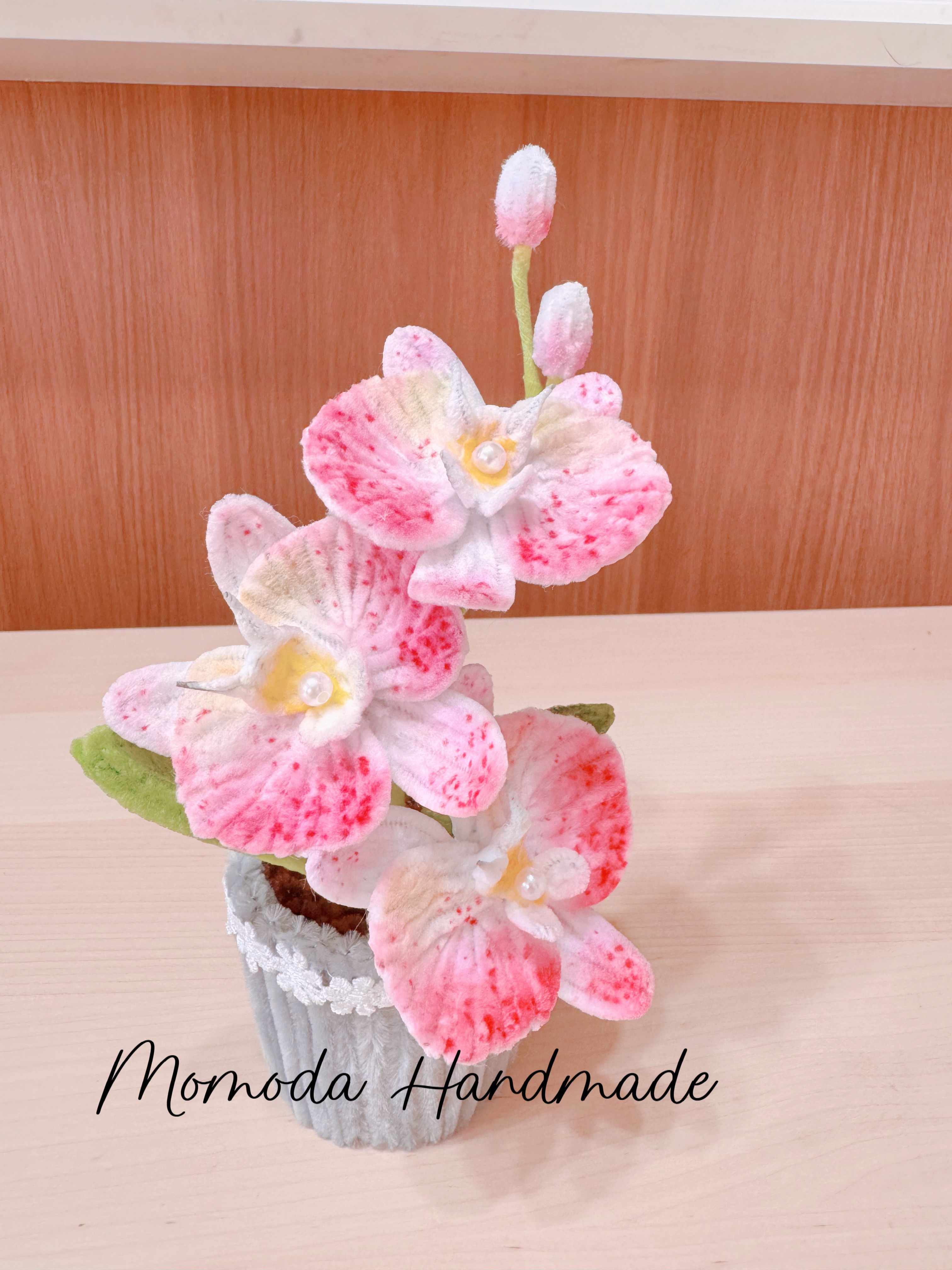 胡蝶蘭(青）の鉢植えクレイフラワー