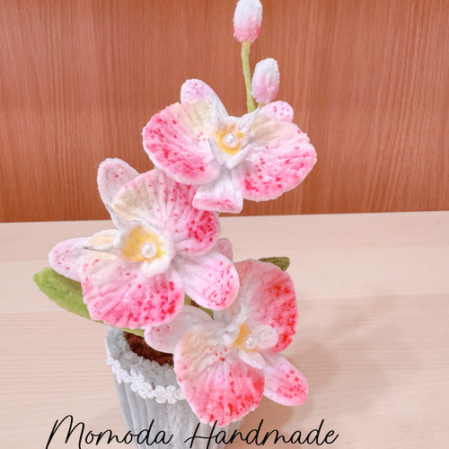 パレフローラピンク 胡蝶蘭 アートフラワー鉢花 約30cm 胡蝶蘭 白＆ピンク センター白 3本立ち36輪程度 生花｜お祝い