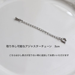送料無料・15通り◆超アレンジのできるネックレスセット(サージカルステンレス) 11枚目の画像