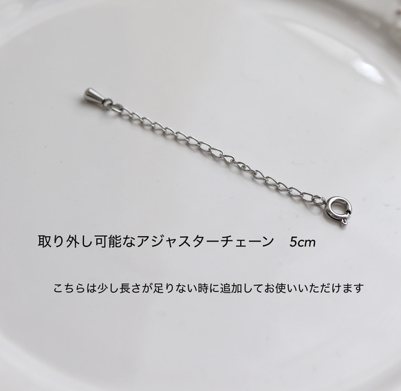 送料無料・15通り◆超アレンジのできるネックレスセット(サージカルステンレス) 11枚目の画像