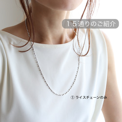 送料無料・15通り◆超アレンジのできるネックレスセット(サージカルステンレス) 14枚目の画像