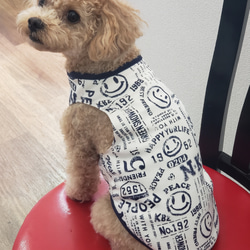 犬服♪(中型犬)ワンちゃんの顔の編み込みセーター エル・ウエーブ